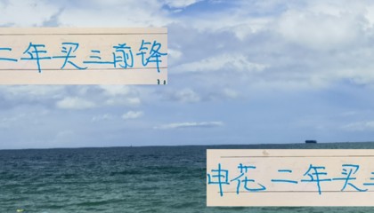 开云注册网址-申花两年已经买3个前锋外援 到头来看 还是马莱莱是顶格